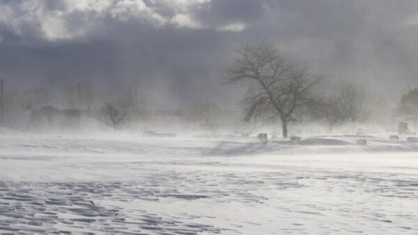 Blizzard Of The Century” Kills Nearly 50 Across US