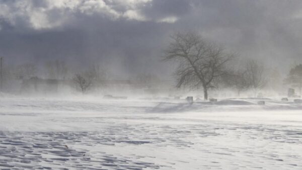 Blizzard Of The Century" Kills Nearly 50 Across US
